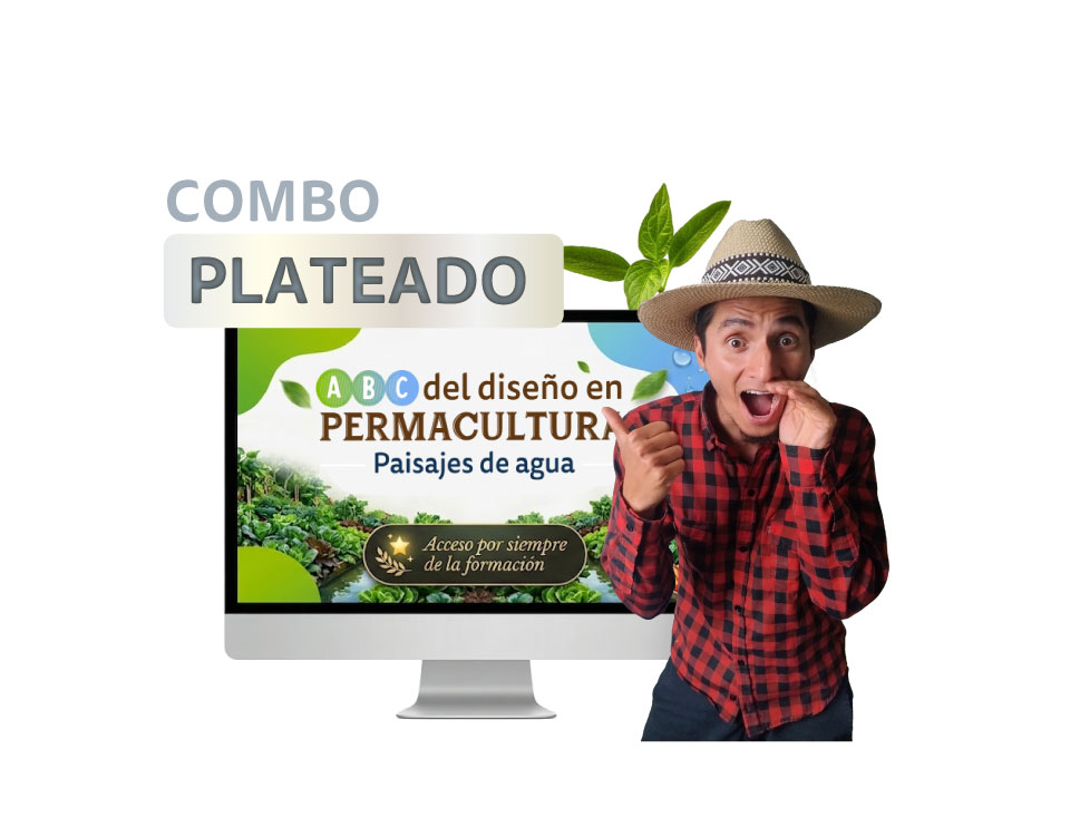 Combo Plateado