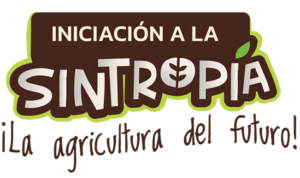 Identificador-SINTROPÍA 2