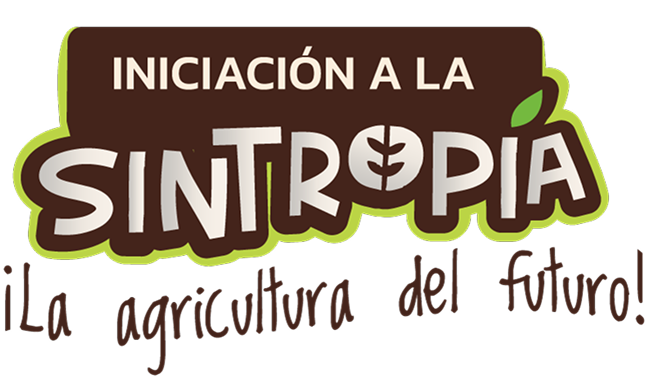 Identificador-SINTROPÍA 2