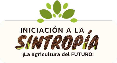 M - identifiador sintropia corto