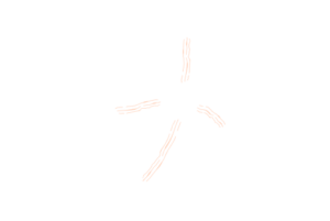 infografia ADN